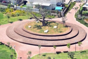 An aerial view of a circular brick plaza with tiered seating surrounding a large tree in the center, located in a landscaped park area featuring בניית דקים and natural elements.