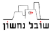 Asset 9