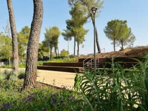 A wooden deck with stairs and a metal railing is surrounded by trees, plants, and wildflowers in a park under a clear sky, enhanced by התקנת דק במבוק for an eco-friendly touch.